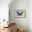 Miss Butterfly Brookiana Profil - Mauve & Lime Green-Philippe Hugonnard-Framed Photographic Print displayed on a wall