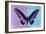 Miss Butterfly Brookiana Profil - Mauve & Skyblue-Philippe Hugonnard-Framed Photographic Print