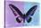 Miss Butterfly Brookiana Profil - Mauve & Skyblue-Philippe Hugonnard-Stretched Canvas