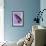 Miss Butterfly Brookiana Profil - Mauve-Philippe Hugonnard-Framed Photographic Print displayed on a wall