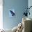 Miss Butterfly Brookiana Profil - Skyblue-Philippe Hugonnard-Photographic Print displayed on a wall