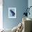 Miss Butterfly Brookiana Profil - Skyblue-Philippe Hugonnard-Framed Photographic Print displayed on a wall