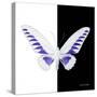 Miss Butterfly Brookiana Sq - X-Ray B&W Edition-Philippe Hugonnard-Stretched Canvas