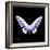 Miss Butterfly Brookiana Sq - X-Ray Black Edition-Philippe Hugonnard-Framed Photographic Print