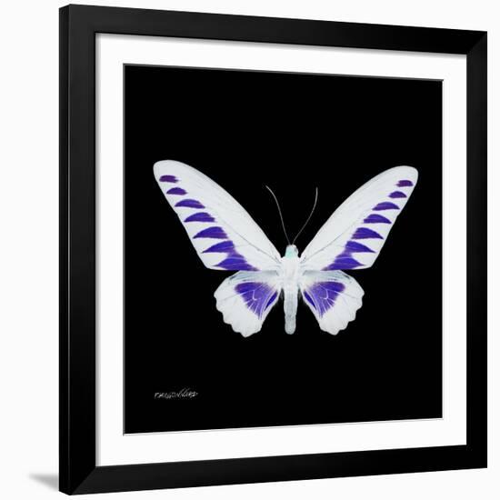 Miss Butterfly Brookiana Sq - X-Ray Black Edition-Philippe Hugonnard-Framed Photographic Print