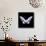 Miss Butterfly Brookiana Sq - X-Ray Black Edition-Philippe Hugonnard-Stretched Canvas displayed on a wall