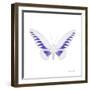 Miss Butterfly Brookiana Sq - X-Ray White Edition-Philippe Hugonnard-Framed Photographic Print