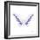 Miss Butterfly Brookiana Sq - X-Ray White Edition-Philippe Hugonnard-Framed Photographic Print