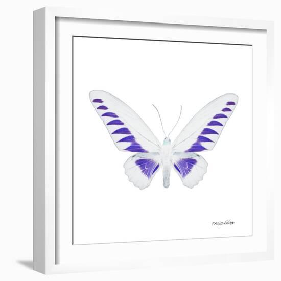 Miss Butterfly Brookiana Sq - X-Ray White Edition-Philippe Hugonnard-Framed Photographic Print