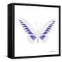 Miss Butterfly Brookiana Sq - X-Ray White Edition-Philippe Hugonnard-Framed Stretched Canvas