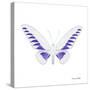 Miss Butterfly Brookiana Sq - X-Ray White Edition-Philippe Hugonnard-Stretched Canvas