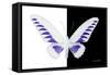 Miss Butterfly Brookiana - X-Ray B&W Edition-Philippe Hugonnard-Framed Stretched Canvas