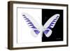 Miss Butterfly Brookiana - X-Ray B&W Edition-Philippe Hugonnard-Framed Photographic Print