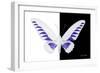 Miss Butterfly Brookiana - X-Ray B&W Edition-Philippe Hugonnard-Framed Photographic Print