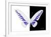 Miss Butterfly Brookiana - X-Ray B&W Edition-Philippe Hugonnard-Framed Photographic Print