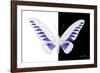 Miss Butterfly Brookiana - X-Ray B&W Edition-Philippe Hugonnard-Framed Photographic Print