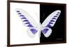 Miss Butterfly Brookiana - X-Ray B&W Edition-Philippe Hugonnard-Framed Photographic Print