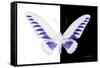 Miss Butterfly Brookiana - X-Ray B&W Edition-Philippe Hugonnard-Framed Stretched Canvas