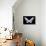 Miss Butterfly Brookiana - X-Ray Black Edition-Philippe Hugonnard-Photographic Print displayed on a wall