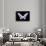 Miss Butterfly Brookiana - X-Ray Black Edition-Philippe Hugonnard-Framed Photographic Print displayed on a wall