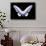 Miss Butterfly Brookiana - X-Ray Black Edition-Philippe Hugonnard-Framed Photographic Print displayed on a wall