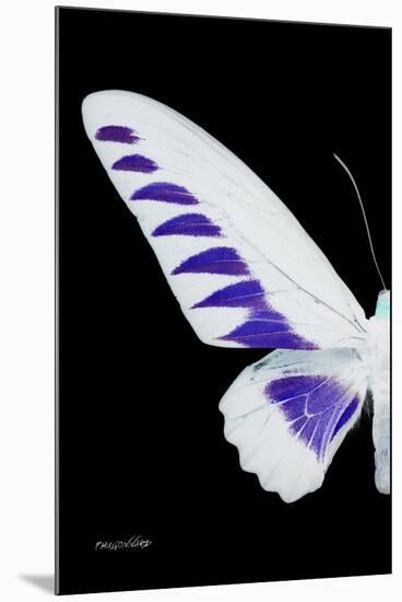 Miss Butterfly Brookiana - X-Ray Left Black Edition-Philippe Hugonnard-Mounted Premium Photographic Print