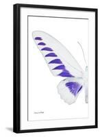 Miss Butterfly Brookiana - X-Ray Left White Edition-Philippe Hugonnard-Framed Photographic Print