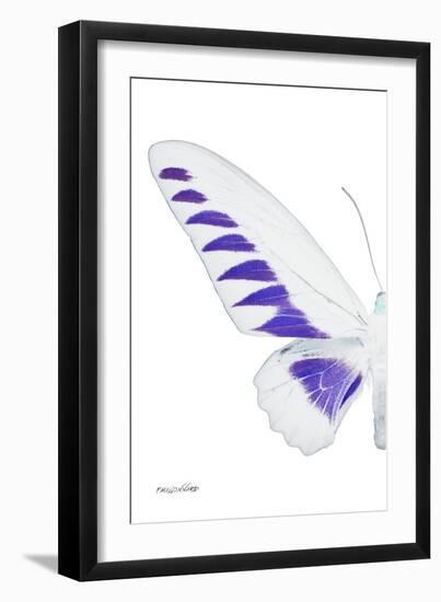 Miss Butterfly Brookiana - X-Ray Left White Edition-Philippe Hugonnard-Framed Photographic Print