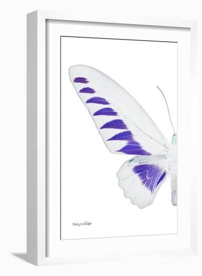 Miss Butterfly Brookiana - X-Ray Left White Edition-Philippe Hugonnard-Framed Photographic Print