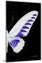 Miss Butterfly Brookiana - X-Ray Right Black Edition-Philippe Hugonnard-Mounted Photographic Print