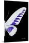 Miss Butterfly Brookiana - X-Ray Right Black Edition-Philippe Hugonnard-Mounted Premium Photographic Print