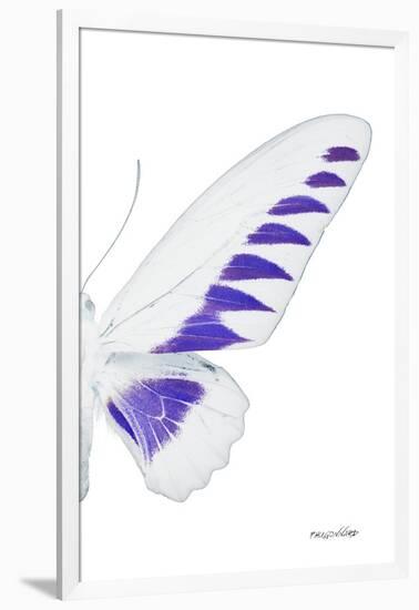 Miss Butterfly Brookiana - X-Ray Right White Edition-Philippe Hugonnard-Framed Photographic Print