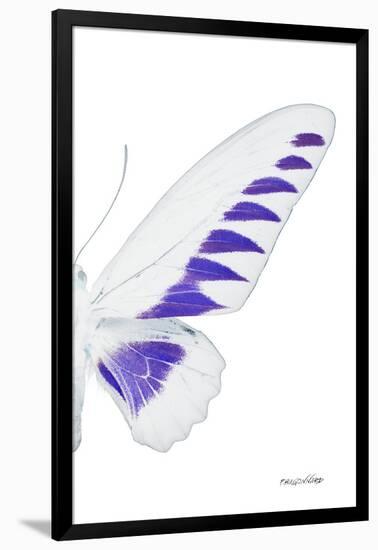 Miss Butterfly Brookiana - X-Ray Right White Edition-Philippe Hugonnard-Framed Photographic Print