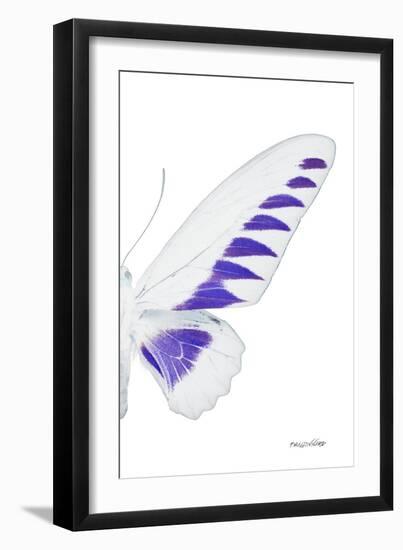 Miss Butterfly Brookiana - X-Ray Right White Edition-Philippe Hugonnard-Framed Photographic Print