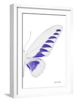 Miss Butterfly Brookiana - X-Ray Right White Edition-Philippe Hugonnard-Framed Photographic Print