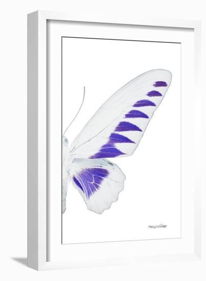 Miss Butterfly Brookiana - X-Ray Right White Edition-Philippe Hugonnard-Framed Photographic Print