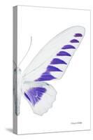 Miss Butterfly Brookiana - X-Ray Right White Edition-Philippe Hugonnard-Stretched Canvas