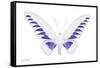 Miss Butterfly Brookiana - X-Ray White Edition-Philippe Hugonnard-Framed Stretched Canvas