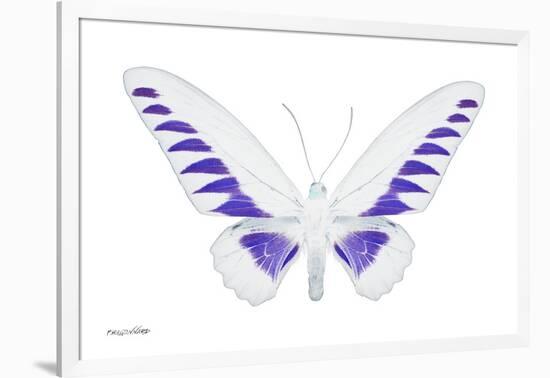 Miss Butterfly Brookiana - X-Ray White Edition-Philippe Hugonnard-Framed Photographic Print