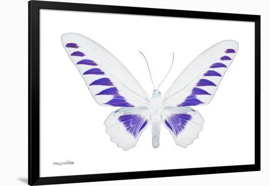 Miss Butterfly Brookiana - X-Ray White Edition-Philippe Hugonnard-Framed Photographic Print