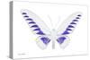 Miss Butterfly Brookiana - X-Ray White Edition-Philippe Hugonnard-Stretched Canvas