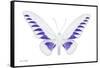 Miss Butterfly Brookiana - X-Ray White Edition-Philippe Hugonnard-Framed Stretched Canvas