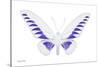 Miss Butterfly Brookiana - X-Ray White Edition-Philippe Hugonnard-Stretched Canvas