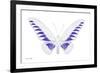 Miss Butterfly Brookiana - X-Ray White Edition-Philippe Hugonnard-Framed Photographic Print