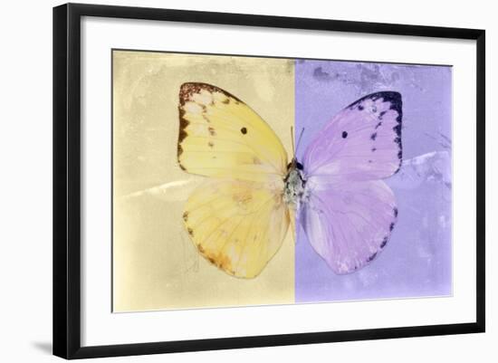 Miss Butterfly Catopsilia - Gold & Mauve-Philippe Hugonnard-Framed Photographic Print