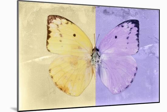 Miss Butterfly Catopsilia - Gold & Mauve-Philippe Hugonnard-Mounted Photographic Print