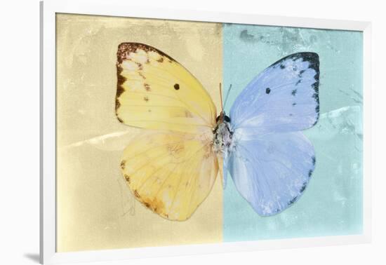 Miss Butterfly Catopsilia - Gold & Turquoise-Philippe Hugonnard-Framed Photographic Print