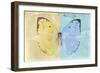 Miss Butterfly Catopsilia - Gold & Turquoise-Philippe Hugonnard-Framed Photographic Print