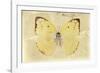 Miss Butterfly Catopsilia - Gold-Philippe Hugonnard-Framed Photographic Print