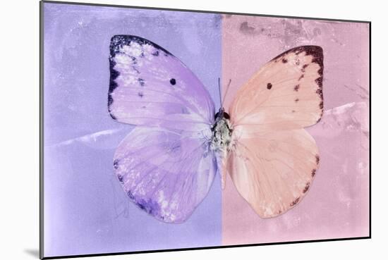 Miss Butterfly Catopsilia - Mauve & Pale Violet-Philippe Hugonnard-Mounted Photographic Print